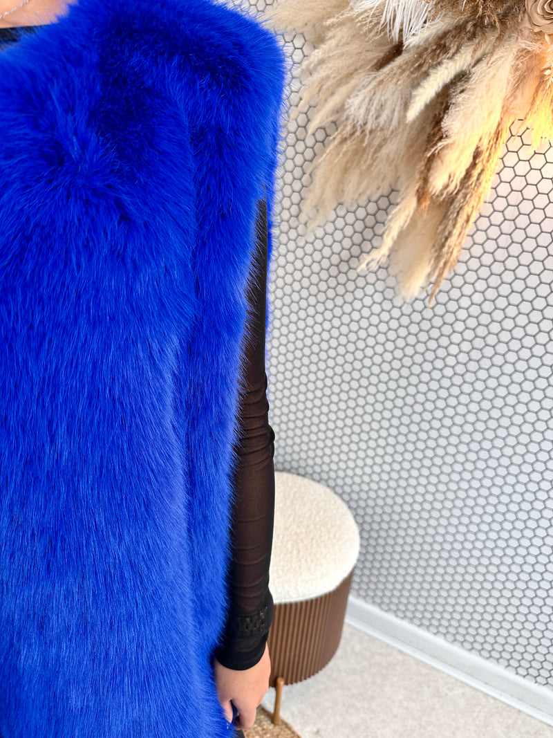 BI-POLAR GILET